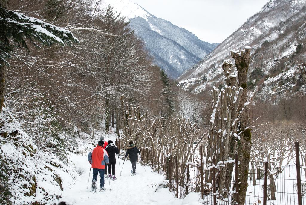 Bungalows Verneda Mountain Resort Arrós 외부 사진